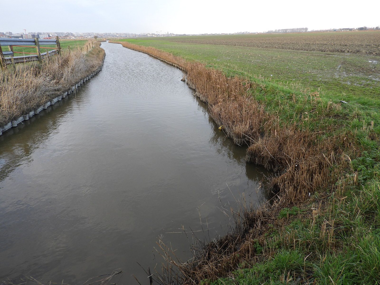 Was von der Testerepvliet übrig ist: die Rinne des Groot Geleed. Foto: Hilde Verboven, Agentur Onroerend Erfgoed, CC BY 4.0
